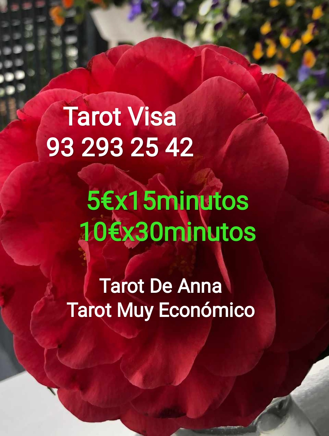 tarot mas económico